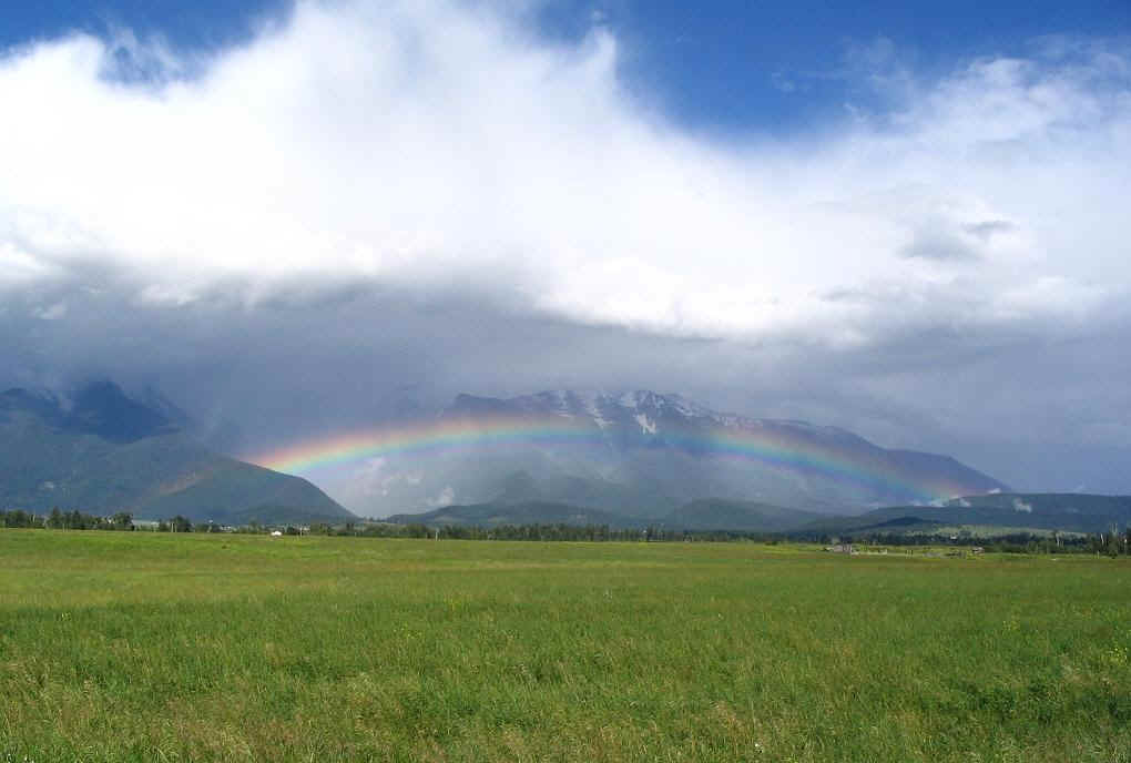 Montana Rainbow